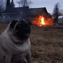 SAM