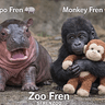 FRENZOO