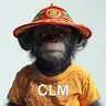 CLM