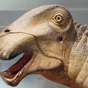 Nigersaurus