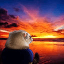 Champions