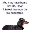 TAXDOG