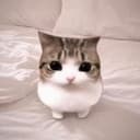 CRIWAR