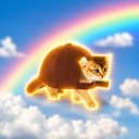 Turtcat