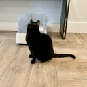 Karma