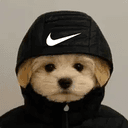 dawg