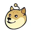 r/DOG