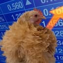 NUGGET