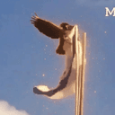 RAVEN