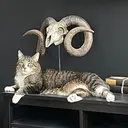 buddy