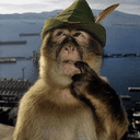 monke